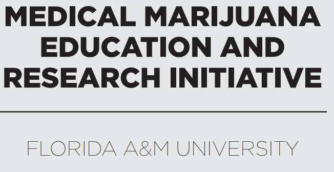 A rabbi, a priest and a reverend offer perspectives on cannabis use